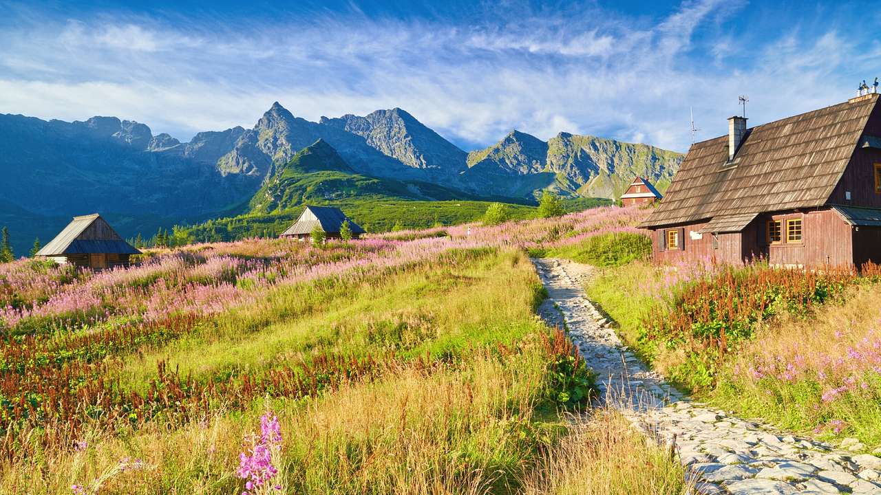 A grassy area next to a small wooden house and mountains