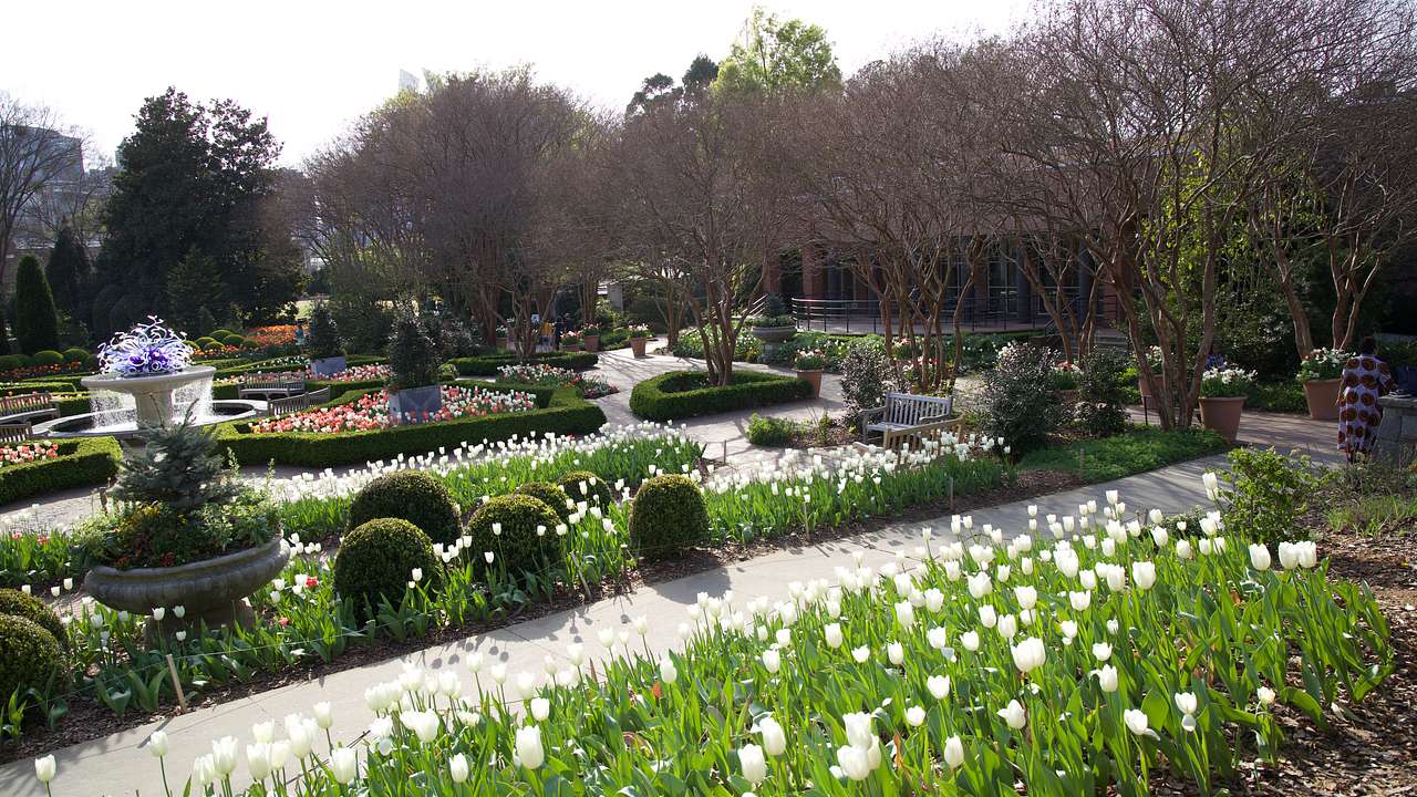 A large garden with white flowers and greenery and a water fountain