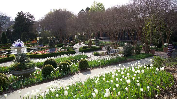 A large garden with white flowers and greenery and a water fountain