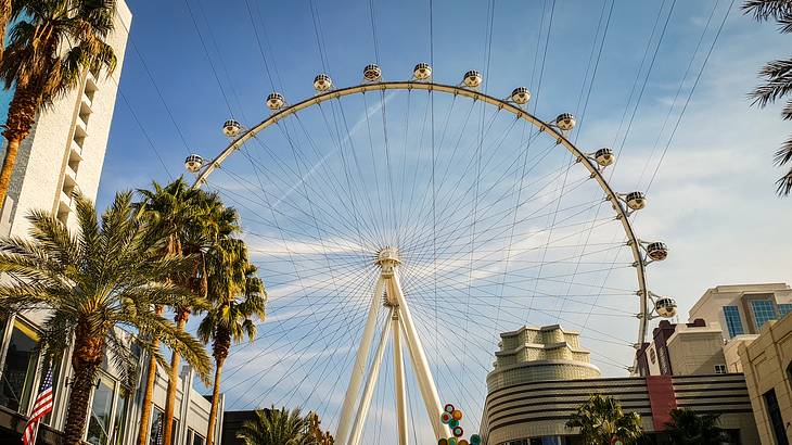 A large white Ferris wheel surrounded by palm trees and buildings