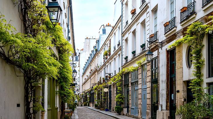 An alley lined with apartment buildings with windows and some greenery