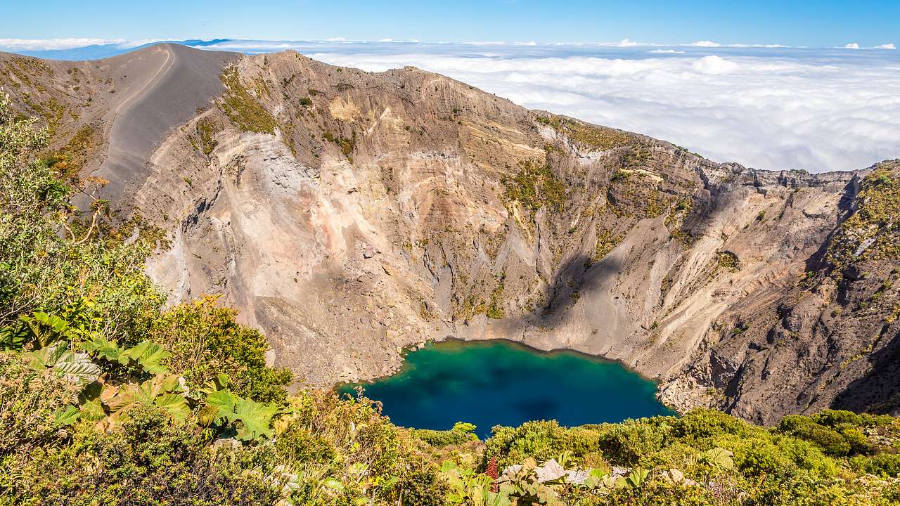 Amazing top view of Irazú Volcano's green lake in a crater below from behind plants