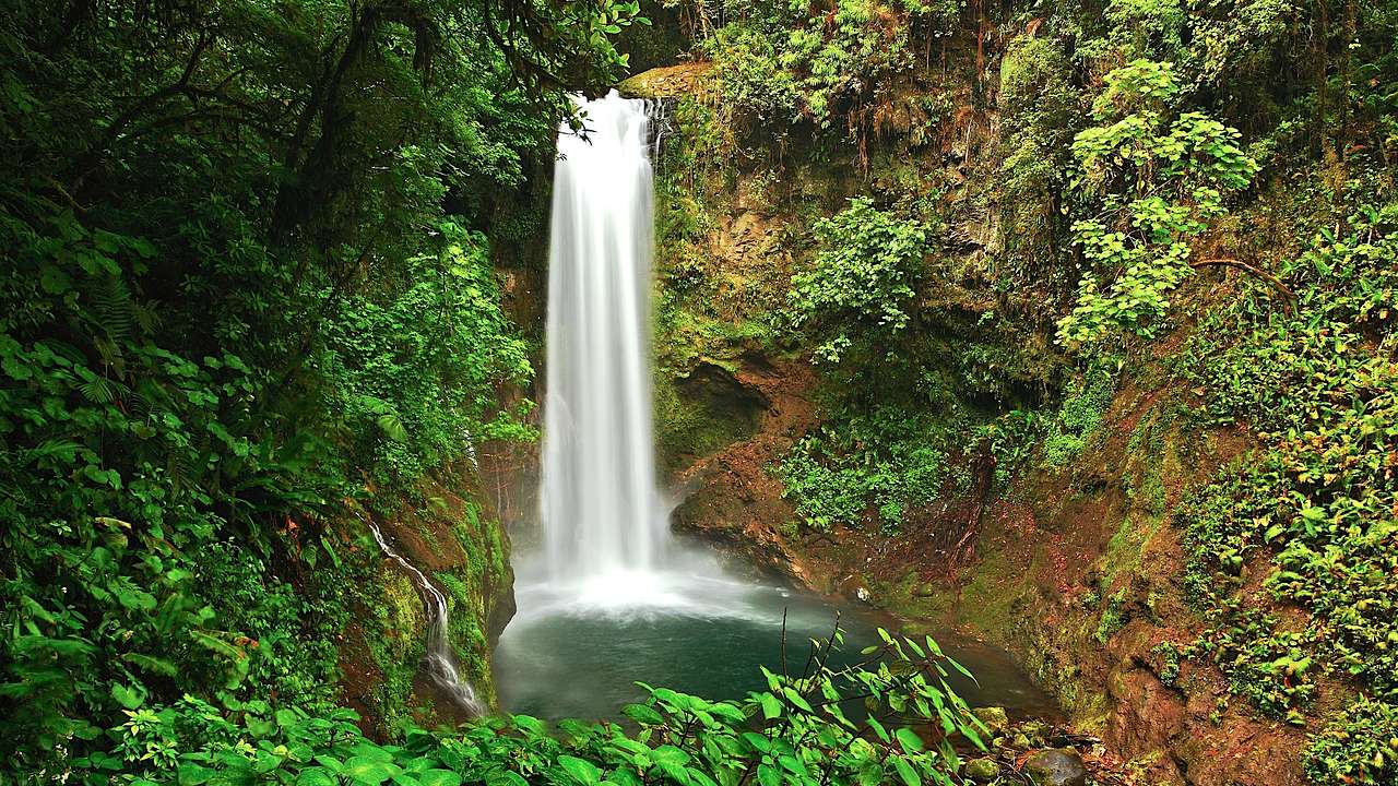 The magnificent La Paz Waterfall, one of the most famous landmarks in Costa Rica