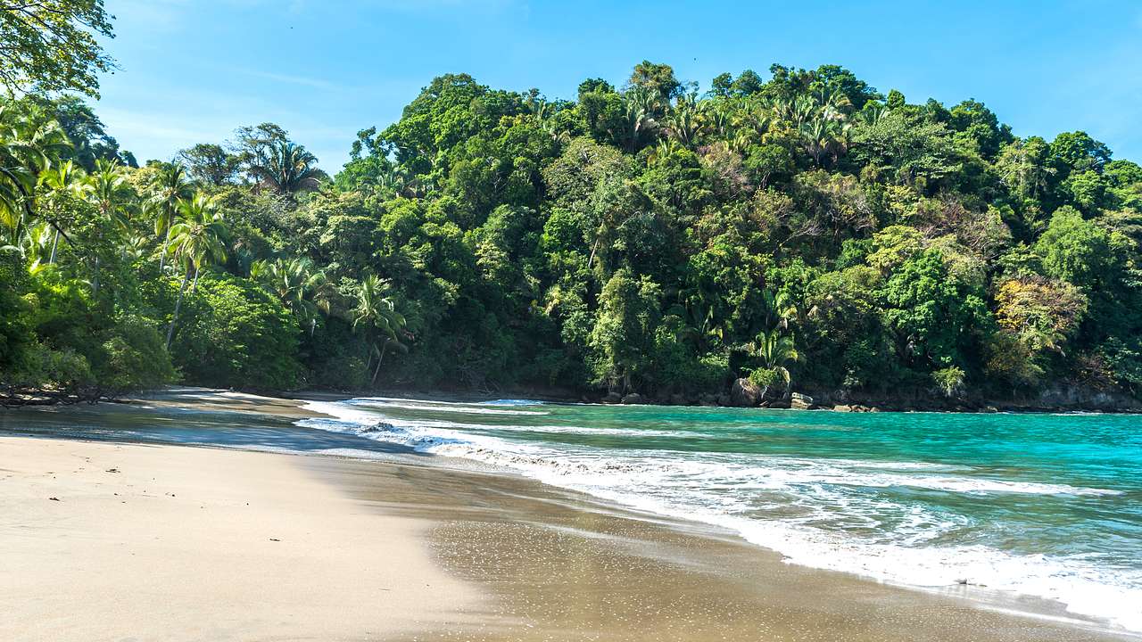 Sandy beach with tropical forest in the background on a sunny day