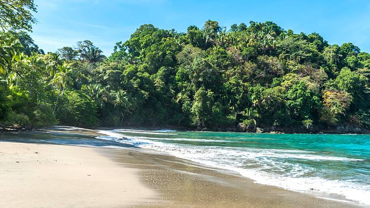 Sandy beach with tropical forest in the background on a sunny day