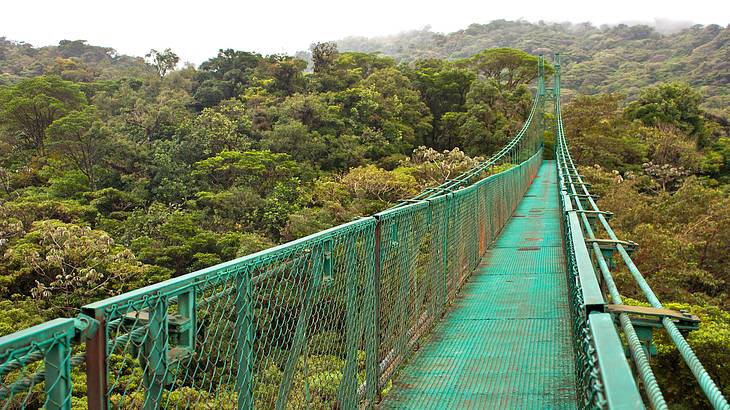A cloudy rainforest at the end of a light green hanging bridge