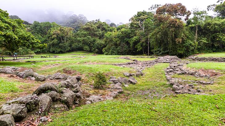 Rocks and green grass in a field at a national monument with trees at the back