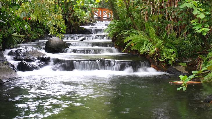 Water cascading down steps into a pool of water surrounded by rocks and lush greenery