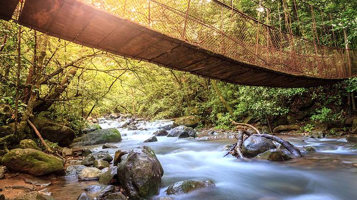 A creek with rocks and a hanging bridge on top of it running through a forest