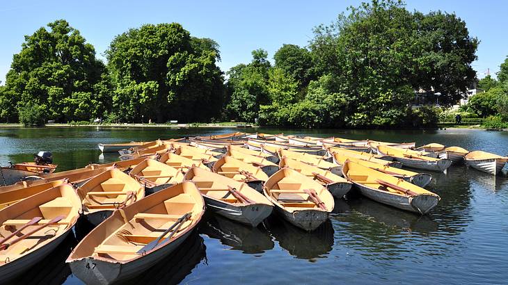 A group of yellow boats gathered at a lake surrounded by trees on a sunny day
