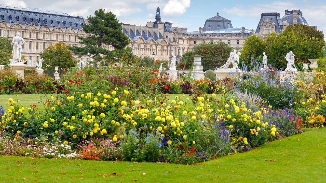 Colourful flowers with statues, trees and the Louvre Museum at the back