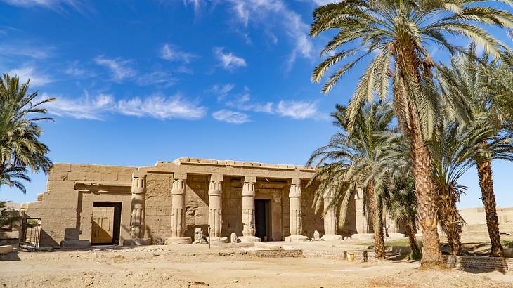 Old temple standing in a desert with palm trees on a clear day