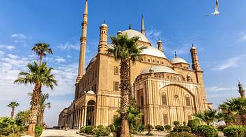 Full view of a mosque's exterior surrounded by palm trees and plants from below