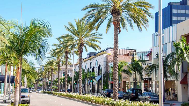A street lined with palm trees and buildings with shops under a clear blue sky