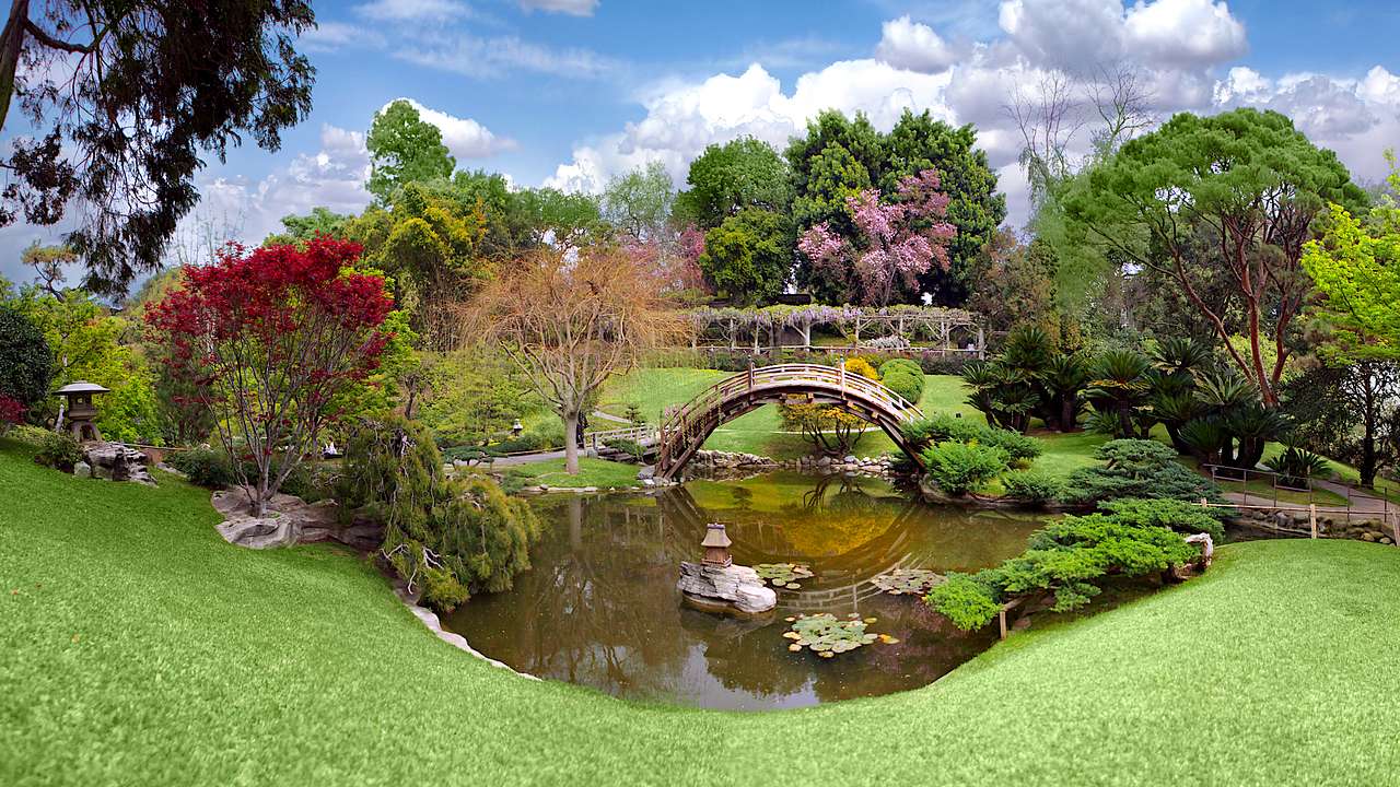 A pond with a small bridge, surrounded by a green lawn with plants and colorful trees