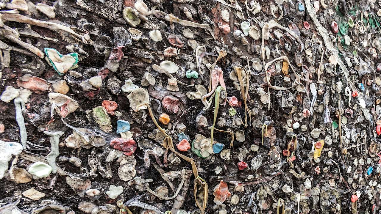 A wall covered with used chewing gum