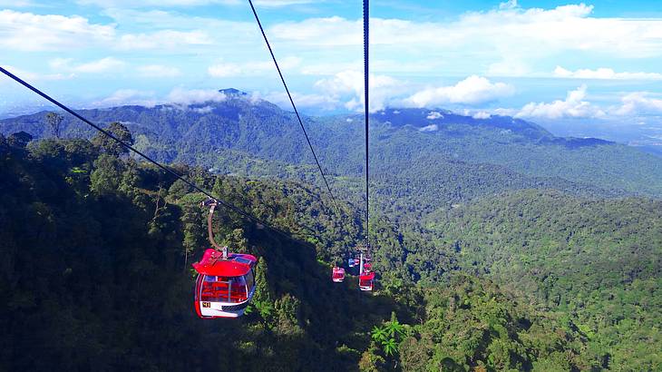 Cable cars traveling through a dense forest with lush mountains behind
