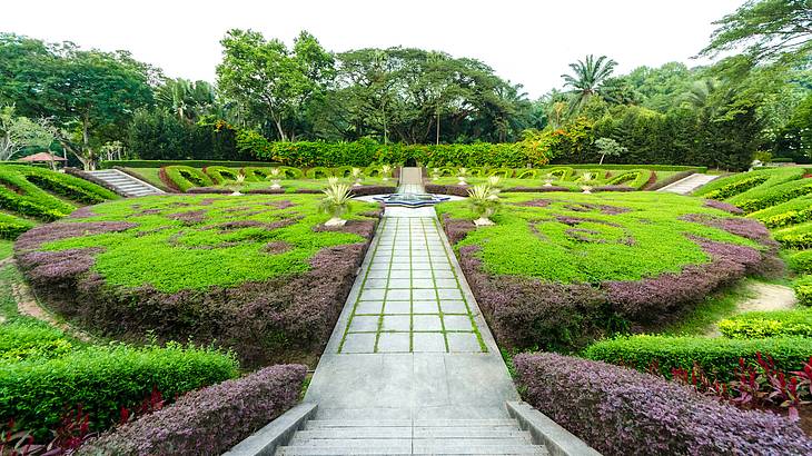 Red and green landscape with plants and trees with a pathway in the middle at a park