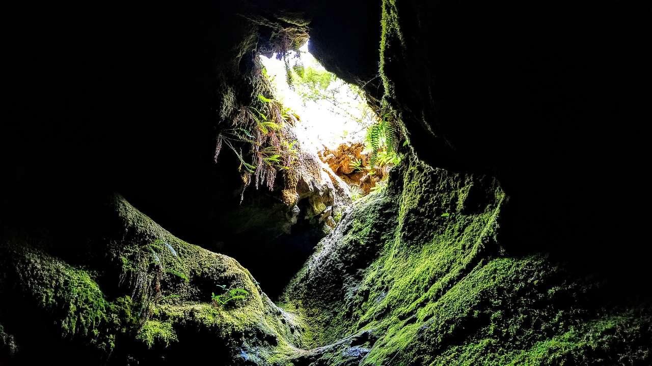 View of moss-covered walls and an entrance from inside a cave