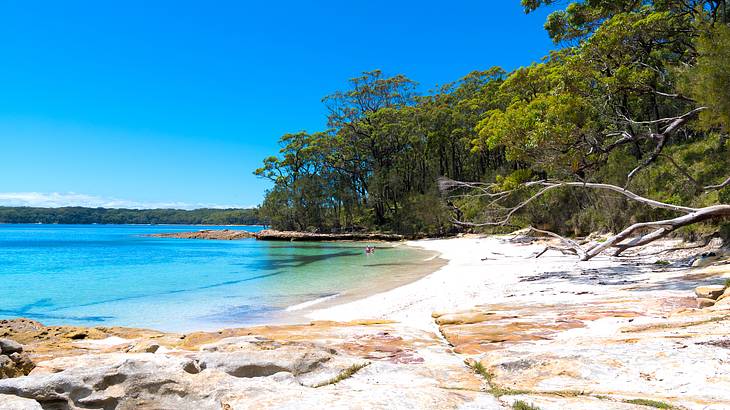 Beautiful clear blue water and white sand at Jervis Bay, NSW, Australia