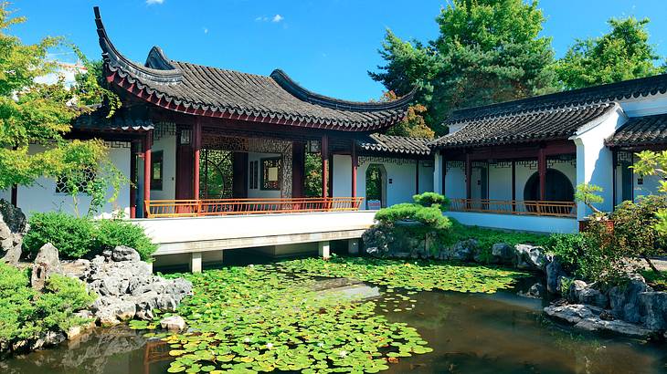 A classical Chinese garden with a pond in front and pagoda-like buildings at the back