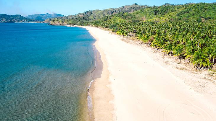 Top view of the long sandy Duli Beach lined with palm trees