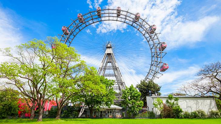 A Ferris wheel with green trees and grass in front of it on a bright day