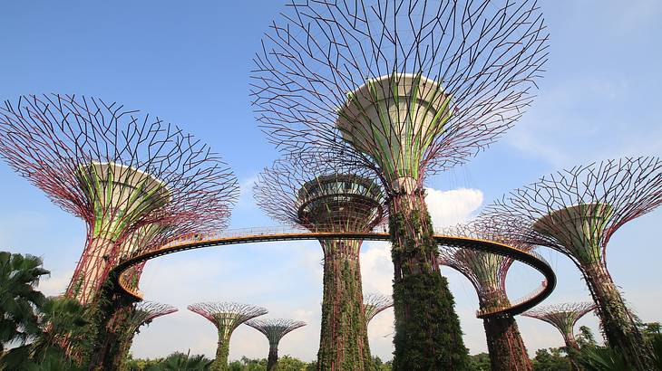 Super tall artificial trees at Gardens by the Bay in Singapore in the evening