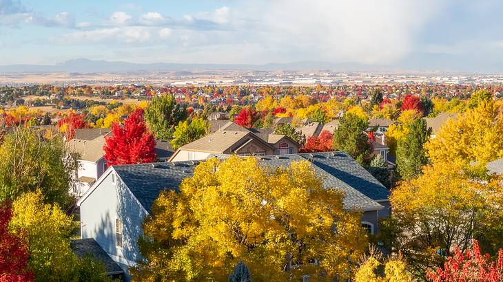 Aerial view of homes and multi-colored trees