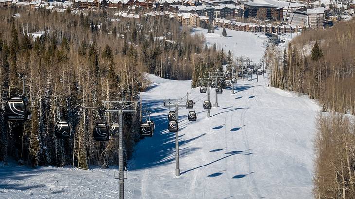 A snowy ski hill with cable cars and trees