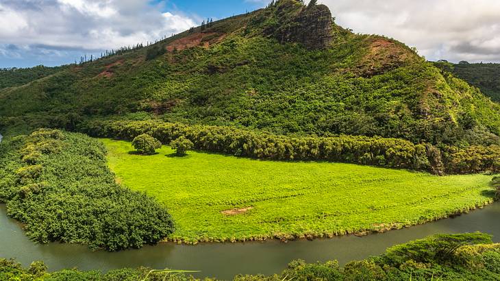 A greenery-covered hill with grass and trees surrounding and a green river in front