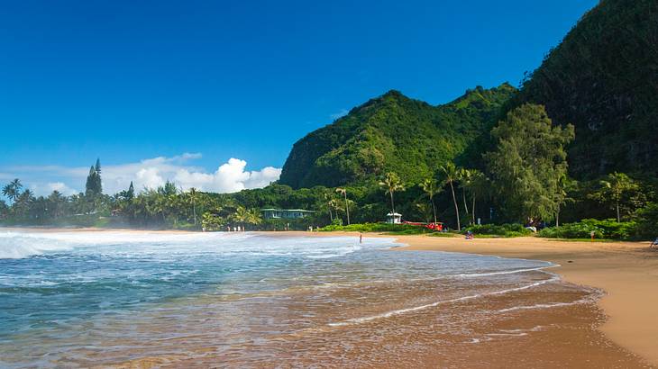 A beach with water flowing onto the sand and trees and green mountain surrounding