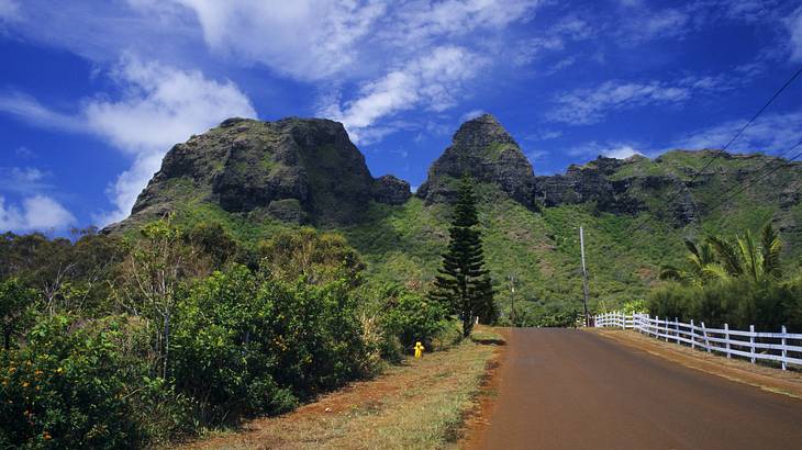 A muddy road leading to a green mountain under a blue sky