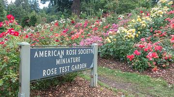 A rose garden and a sign that says "American Rose Society Minature Rose Test Garden"