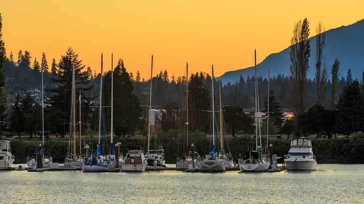 Boats sitting in a harbor with alpine trees and a mountain behind them at sunset