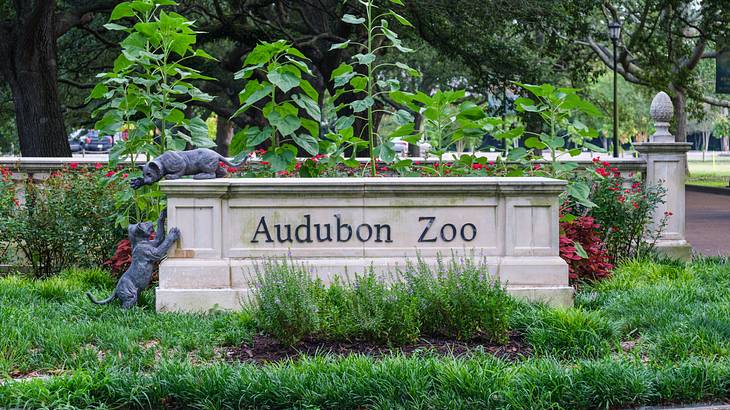 Visiting Audubon Zoo is one of the fun things to do in New Orleans with kids