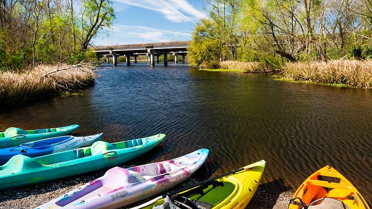 Colorful kayaks on a swamp edge with trees surrounding and a bridge in the back