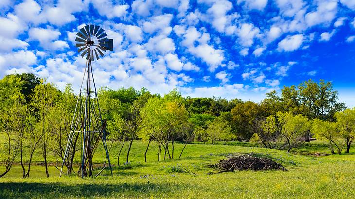 Green grass and green trees with a metal windmill under a blue sky with clouds