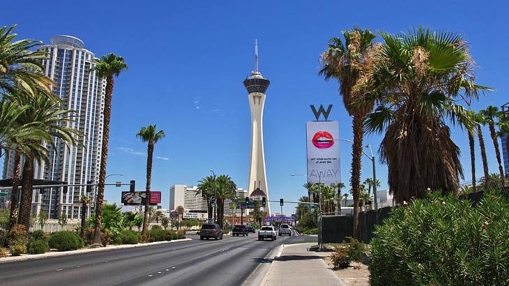 An observation tower with a road and palm trees in front of it An observation tower with a road and palm trees in front of it