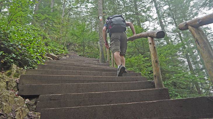 Best Vancouver Hikes - Person hiking up stairs on a mountain, North Vancouver, BC