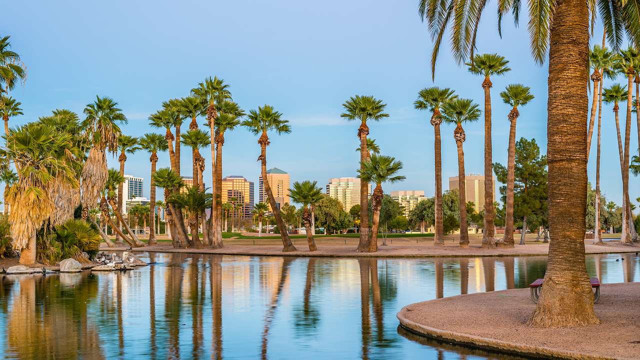 A body of water next to palm trees, with buildings in the distance under a blue sky
