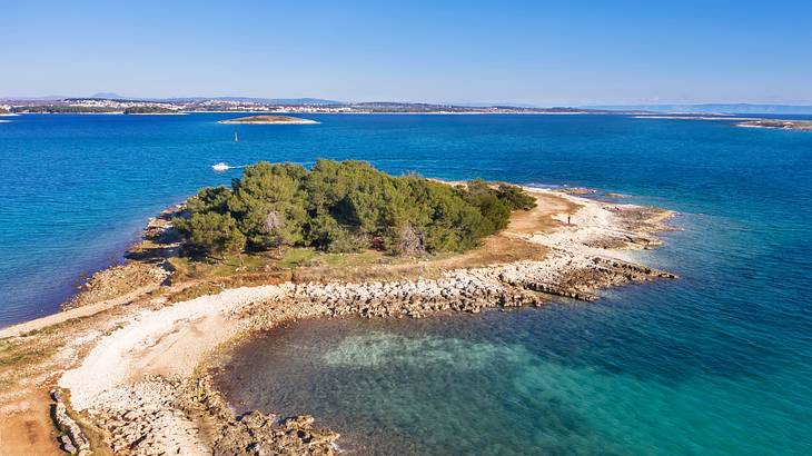 An island beach with trees surrounded by water