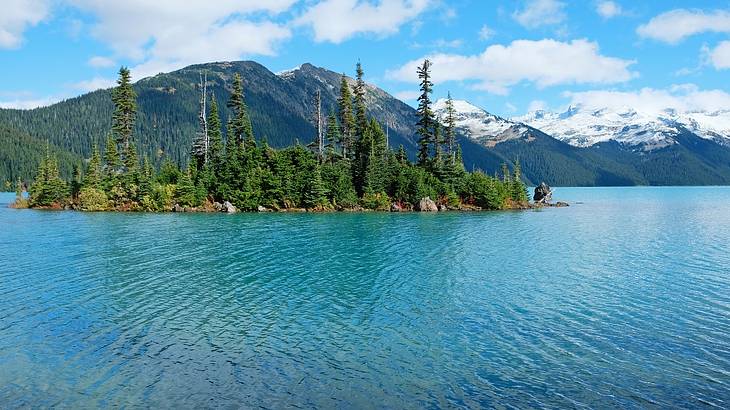 A turquoise lake next to green trees and greenery-covered mountains