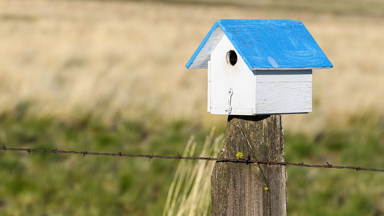 A birdbox with a blue roof and white walls placed on a fence