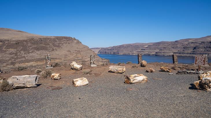 Scattered logs with a body of water and mountains in the background