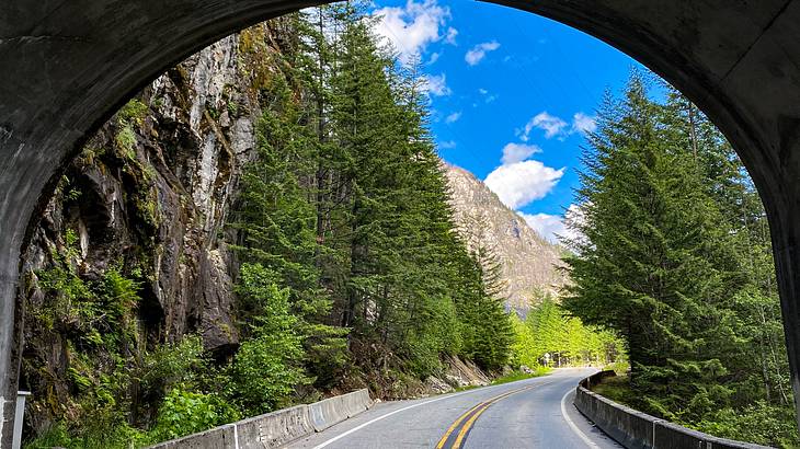 A road through a tunnel surrounded by trees