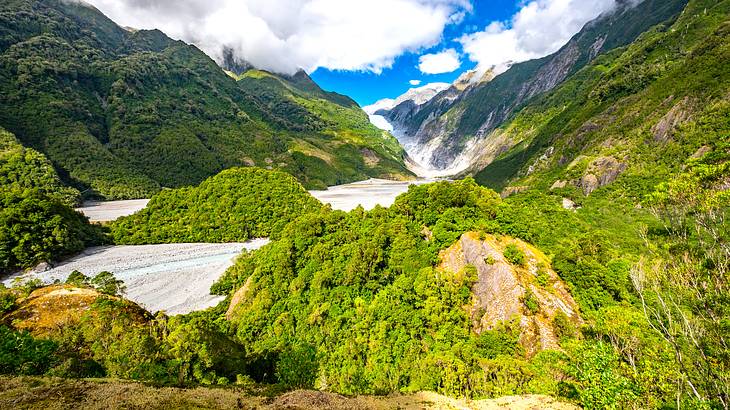 A river from a glacier between mountains from behind some greenery