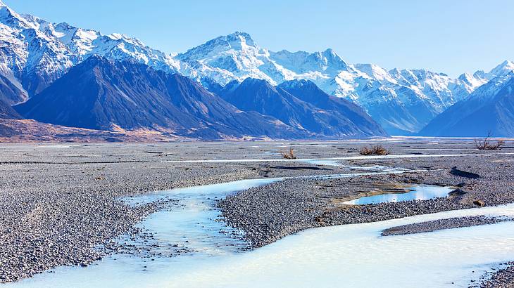The Copland Track is one of the best hikes in New Zealand's South Island