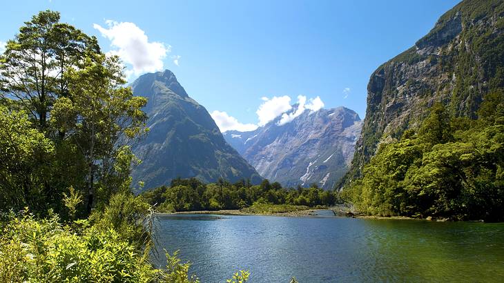 Beautiful green landscape with a body of water surrounded by shrubbery and mountains