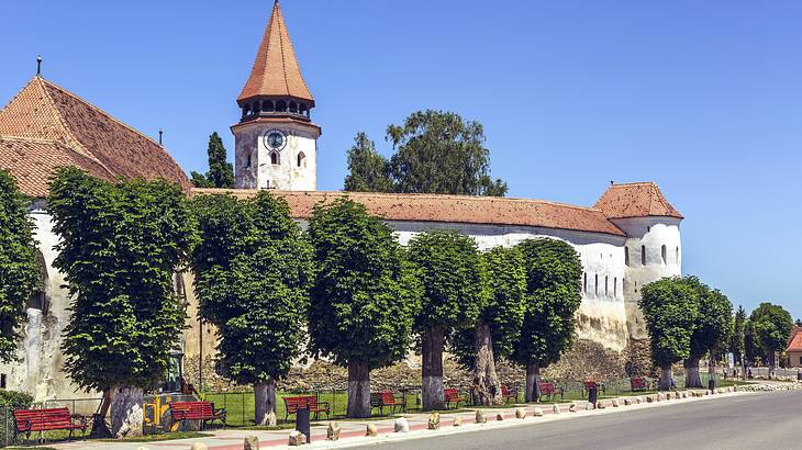 A view of a church, green trees, and clear blue sky, Prejmer, Romania